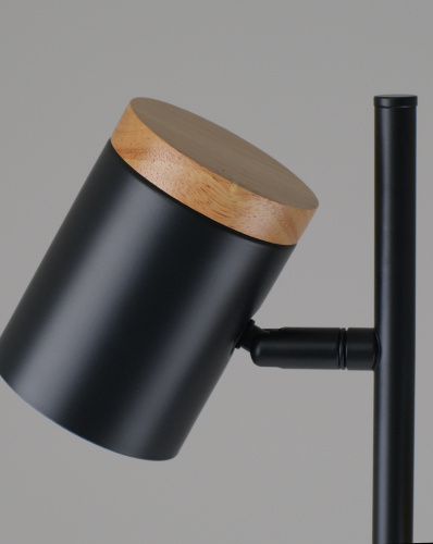 Торшер Moderli V11287-2F Asheswood фото 5