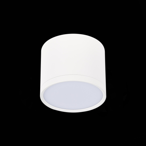 ST113.532.09 Светильник потолочный Белый LED 1*9W 3000K 702Lm Ra>90 120° IP20 D88xH75 170-240V Накладные светильники фото 4