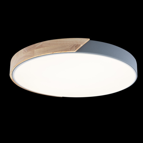 10004/36 Grey Потолочный светильник LOFT IT Axel фото 3