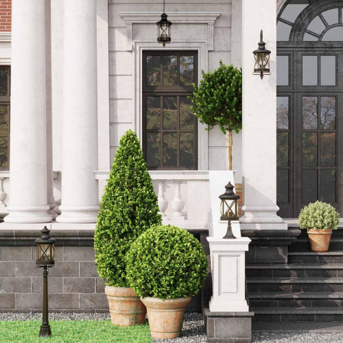 Уличный светильник Odeon Light Nature Sation 4045/1C фото 5