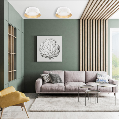 10224 Black Потолочный светильник LOFT IT Evans фото 3