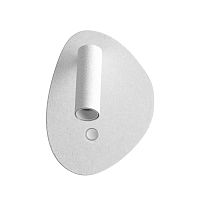 Настенный светильник Odeon Light Roy Hightech 7183/9WL