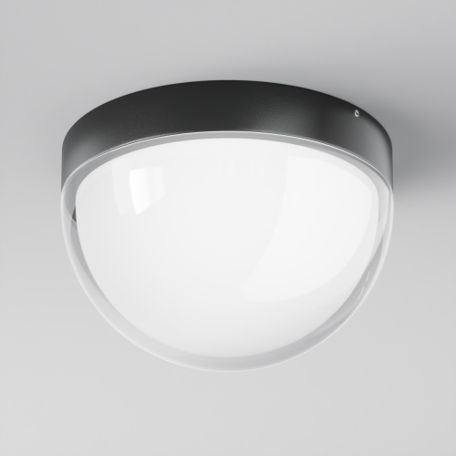Уличный потолочный светильник Outdoor O438CL-L12GF3K фото 10