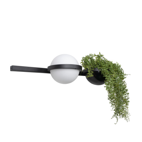 10121W/A Настенный светильник LOFT IT Jardin фото 4