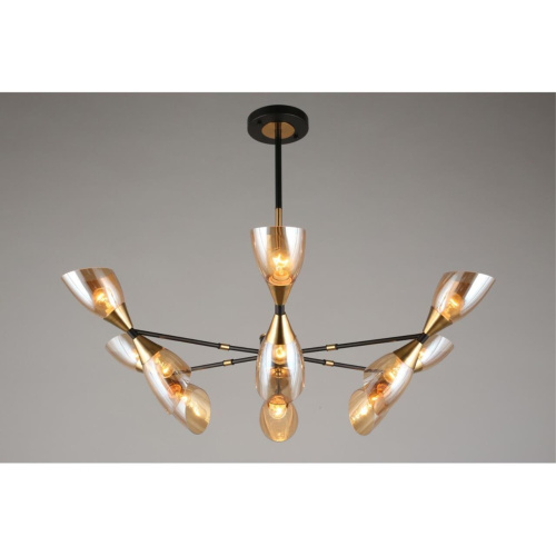 Люстра потолочная OML-66807-12 фото 5