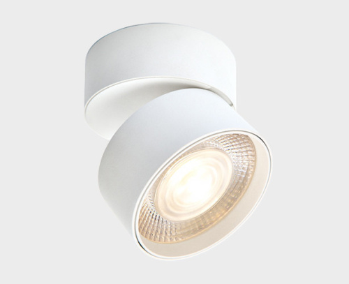 IT02-011 white 4000K светильник потолочный влагозащищенный фото 4