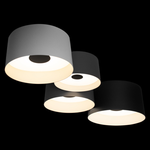 10360/4 Потолочный светильник LOFT IT Duo фото 7 10360/4 Потолочный светильник LOFT IT Duo фото 7