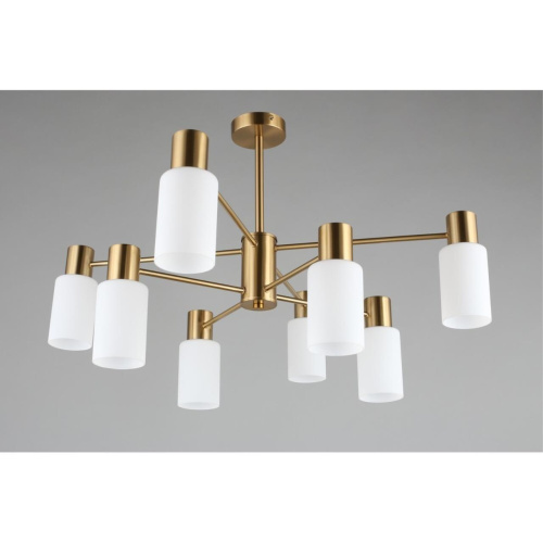 Люстра потолочная OML-69107-08 фото 4