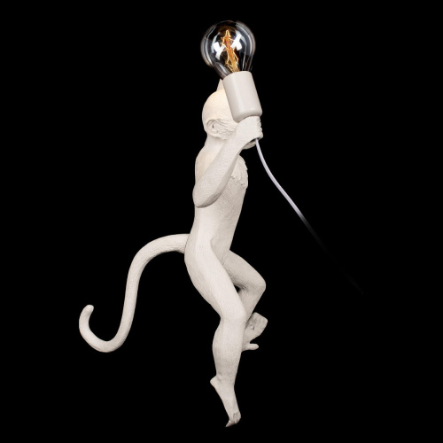 10314W/A Настенный светильник LOFT IT Monkey фото 4 10314W/A Настенный светильник LOFT IT Monkey фото 4