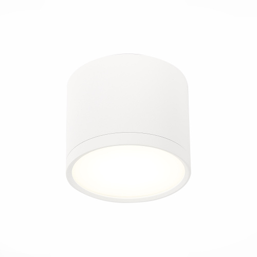 ST113.542.09 Светильник потолочный Белый LED 1*9W 4000K 702Lm Ra>90 120° IP20 D88xH75 170-240V Накладные светильники фото 5