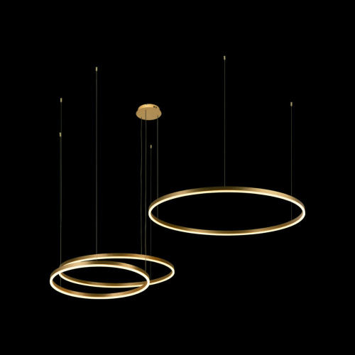 10017/3S Подвесной светильник LOFT IT Ring фото 4 10017/3S Подвесной светильник LOFT IT Ring фото 4