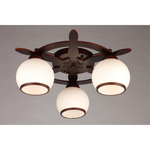 Люстра потолочная OML-50507-03 фото 3 Люстра потолочная OML-50507-03 фото 3