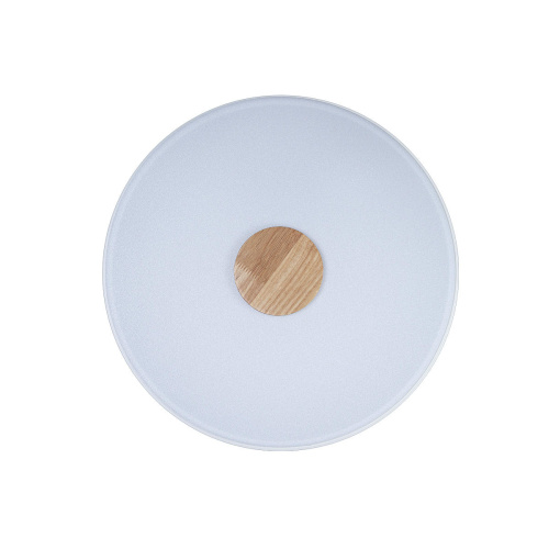 10003/24 White Потолочный светильник LOFT IT Axel фото 3