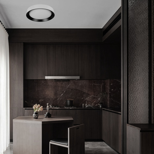 10202 WB Потолочный светильник LOFT IT Coin фото 5 10202 WB Потолочный светильник LOFT IT Coin фото 5