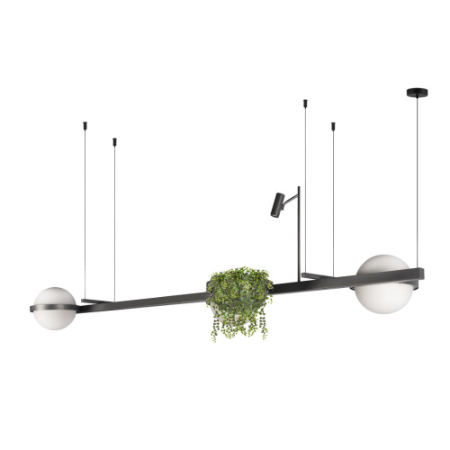 10121/C Dark grey Подвесной светильник LOFT IT Jardin фото 2
