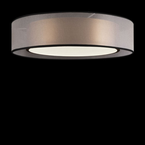 Потолочный светодиодный светильник Freya Zoticus FR6005CL-L36G фото 5