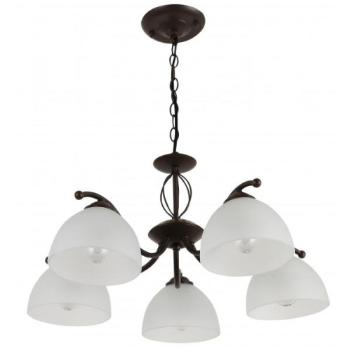 Подвесная люстра Rivoli Jackeline 9141-305 Б0054758 фото 2