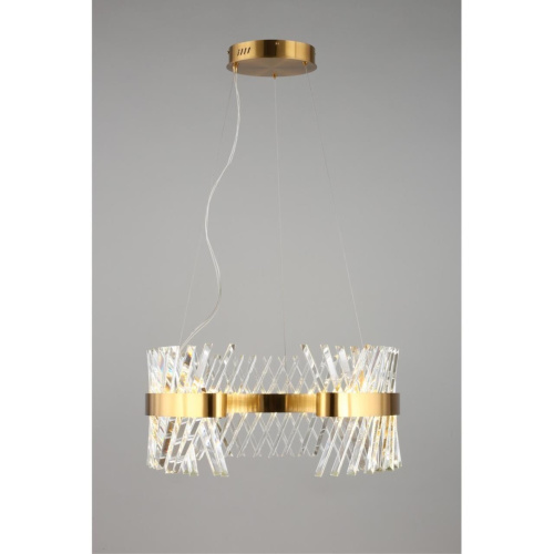 Люстра подвесная OML-99903-62 фото 4