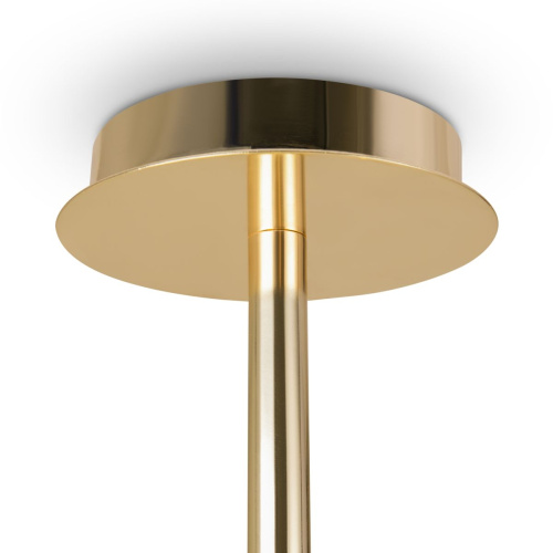 Подвесная люстра Freya Mineral FR1010CL-08G фото 4