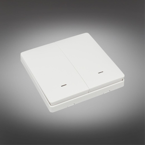 Трековое управление APL.0190.00.02 фото 3