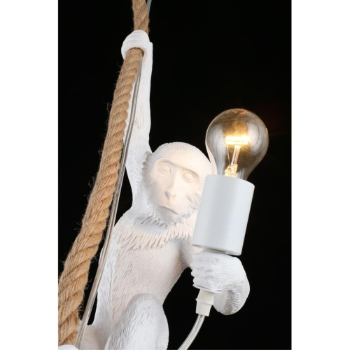 Светильник подвесной APL.309.06.01 фото 4