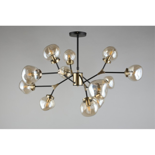 Люстра потолочная OML-95107-12 фото 2