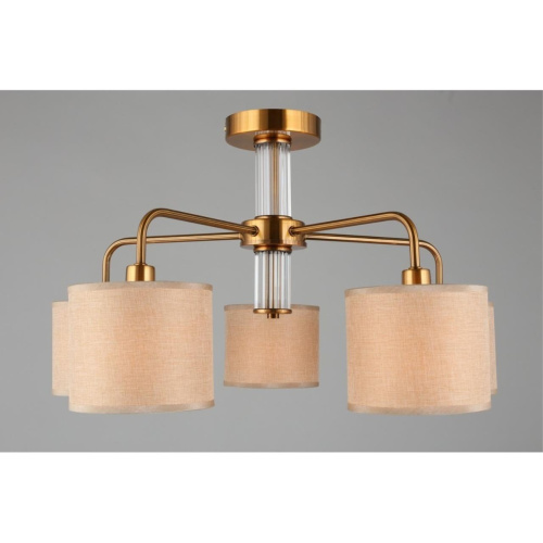 Люстра потолочная OML-56907-05 фото 4