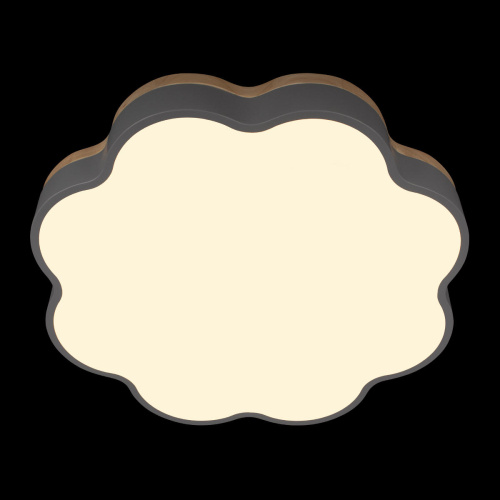 10225/36 Grey Потолочный светильник LOFT IT Axel фото 6