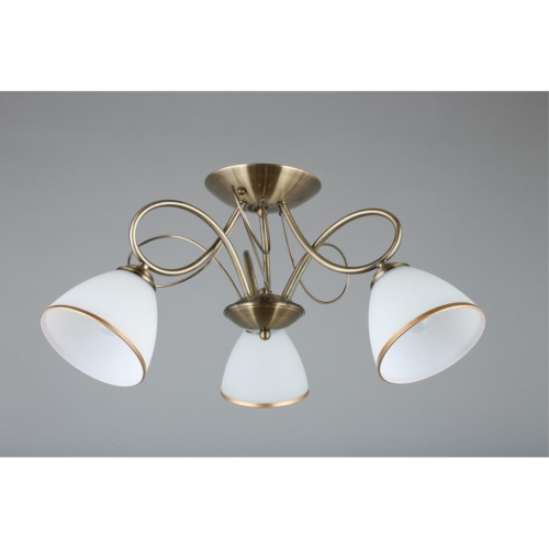 Люстра потолочная OML-25307-03 фото 5