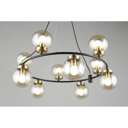 Люстра подвесная OML-94003-10 фото 11 Люстра подвесная OML-94003-10 фото 11