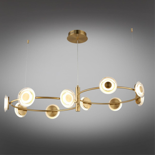 Люстра подвесная OML-51203-10 фото 9