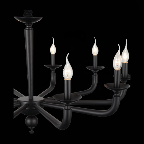 SL1114.403.10 Люстра подвесная ST-Luce Черный E14 10*40W FORTEZA фото 2