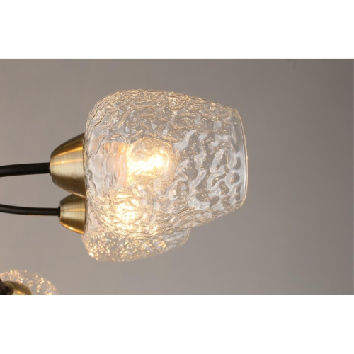 Люстра потолочная OML-67807-08 фото 7 Люстра потолочная OML-67807-08 фото 7