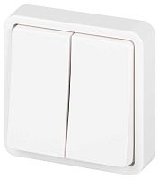 Переключатель ЭРА Эксперт 11-1526-01 двойной IP55 10АХ-250В СУ белый Б0063248