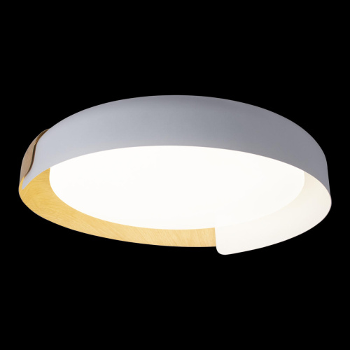 10198 White Потолочный светильник LOFT IT Coin фото 4 10198 White Потолочный светильник LOFT IT Coin фото 4