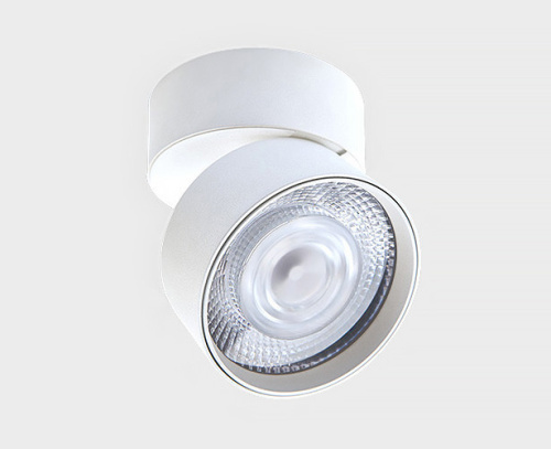 IT02-011 white 4000K светильник потолочный влагозащищенный