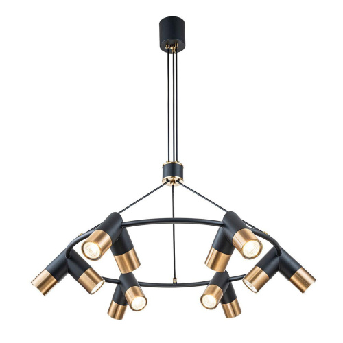 Подвесная люстра Indigo Doppio 11036/12P Black V000455 Подвесная люстра Indigo Doppio 11036/12P Black V000455