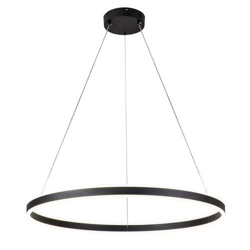 Подвесной светильник 14001/1P Black