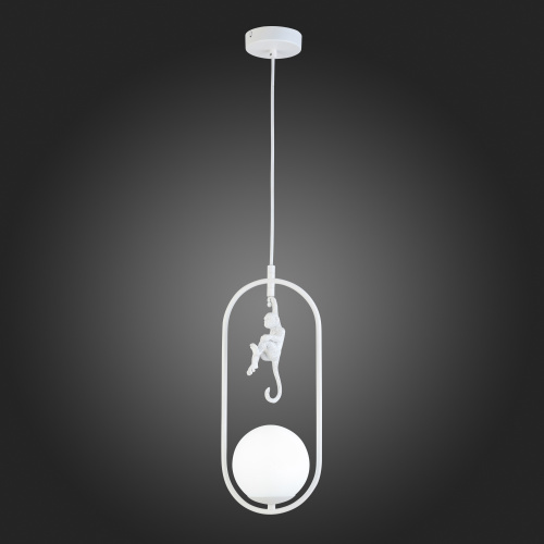 SLE115123-01 Подвес Белый/Белый E27 1*60W TENATO фото 10