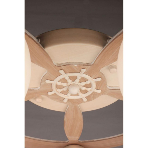 Люстра потолочная OML-50517-05 фото 2