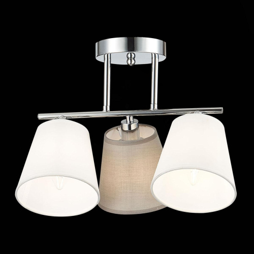 Потолочная люстра Evoluce Prato SLE300402-03 фото 2