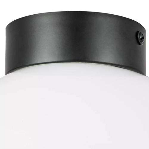 Настенно-потолочный светильник Lightstar Globo 812117 фото 3