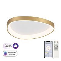 Потолочный светодиодный светильник Citilux Genka Smart CL756A142