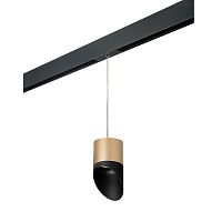 Комплект с трековым светильником Lightstar Rullo (213490+595887+201487) PRORP349087