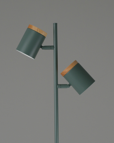 Торшер Moderli V11290-2F Asheswood фото 6 Торшер Moderli V11290-2F Asheswood фото 6