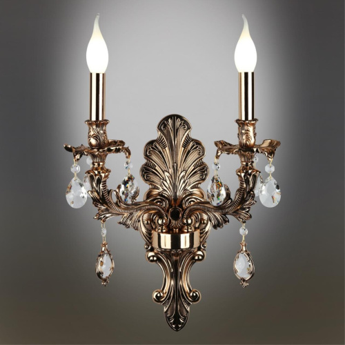 Светильник настенный (Бра) OML-74901-02 фото 3