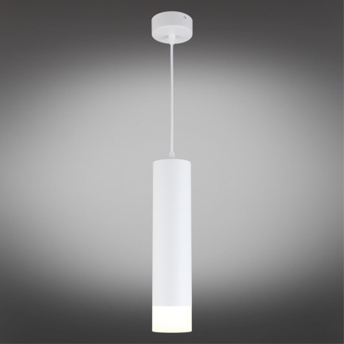 Светильник подвесной OML-102506-10 фото 3