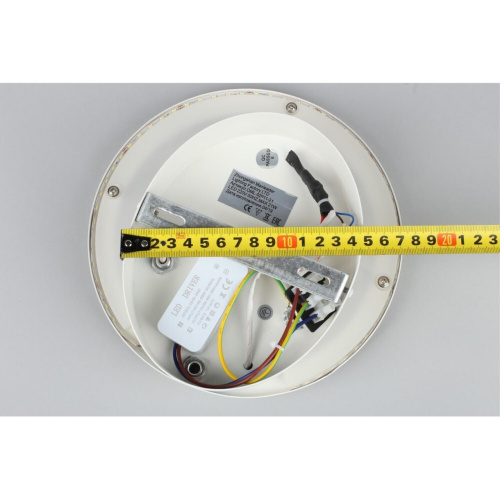 Светильник настенный (Бра) OML-02911-21 фото 2 Светильник настенный (Бра) OML-02911-21 фото 2