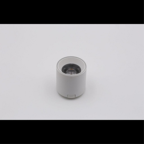 Светильник трековый APL.0109.10.06