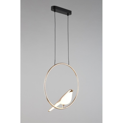 Светильник подвесной APL.822.06.10 фото 15